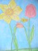 Narcisy a Tulipány